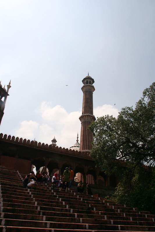 India & Nepal 2011 - 0038